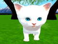 Igra Cutie cat