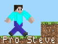 Igra Pro Steve