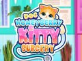 Igra Doc HoneyBerry Kitty Surgery