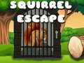 Igra Squirrel Escape