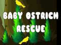 Igra Baby Ostrich Rescue