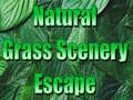 Igra Natural Grass Scenery Escape