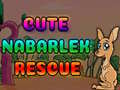 Igra Cute Nabarlek Rescue