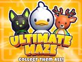 Igra Ultimate Maze! Collect Them All!