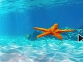 Igra Escape From Underwater Starfish