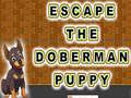 Igra Escape The Doberman Puppy
