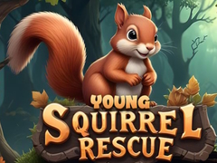 Igra Young Squirrel Rescue