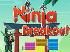 Igra Ninja Breakout