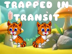 Igra Trapped in Transit