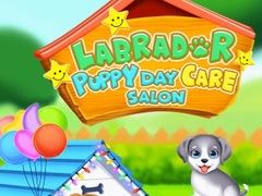 Igra Labrador Puppy Daycare Salon