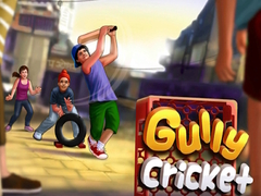 Igra Gully Cricket