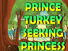 Igra Prince Turkey Seeking Princess