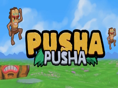 Igra Pusha Pusha