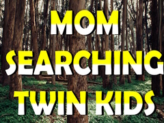 Igra Mom Searching Twin Kids