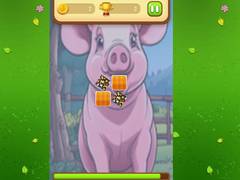 Igra Farm Animals Memory Cards