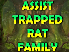 Igra Assist Trapped Rat Family