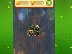 Igra Magic Druid Memory Match
