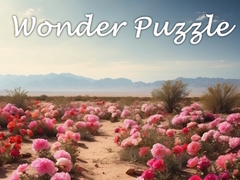 Igra Wonder Puzzle