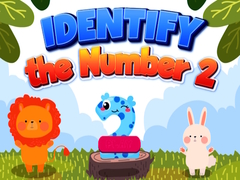 Igra Identify Number 2