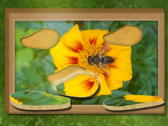 Igra Find & Restore: Hidden Puzzle