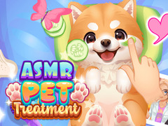 Igra ASMR Pet Treatment