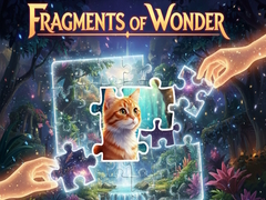 Igra Fragments of Wonder