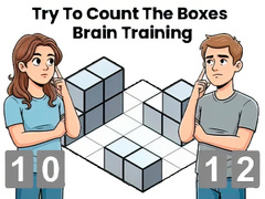 Igra Try To Count The Boxes Brain Training