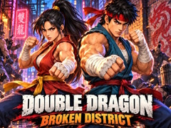Igra Double Dragon Broken District
