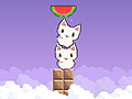 Igra Cat cat watermelon
