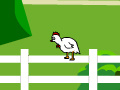 Igra Chicken Impossible
