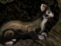 Igra Funny Ferret