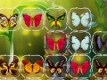 Igra Butterfly Connect