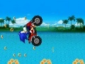 Igra Sonic Ride