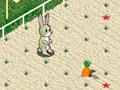 Igra Animal 4 Steps