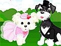 Igra Dress puppies