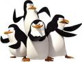 Igre Penguins of Madagascar. The Penguins of Madagascar Igra