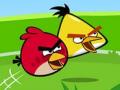Angry Birds na spletu. Igra Angry Birds Angry Birds na spletu. Angry Birds igra